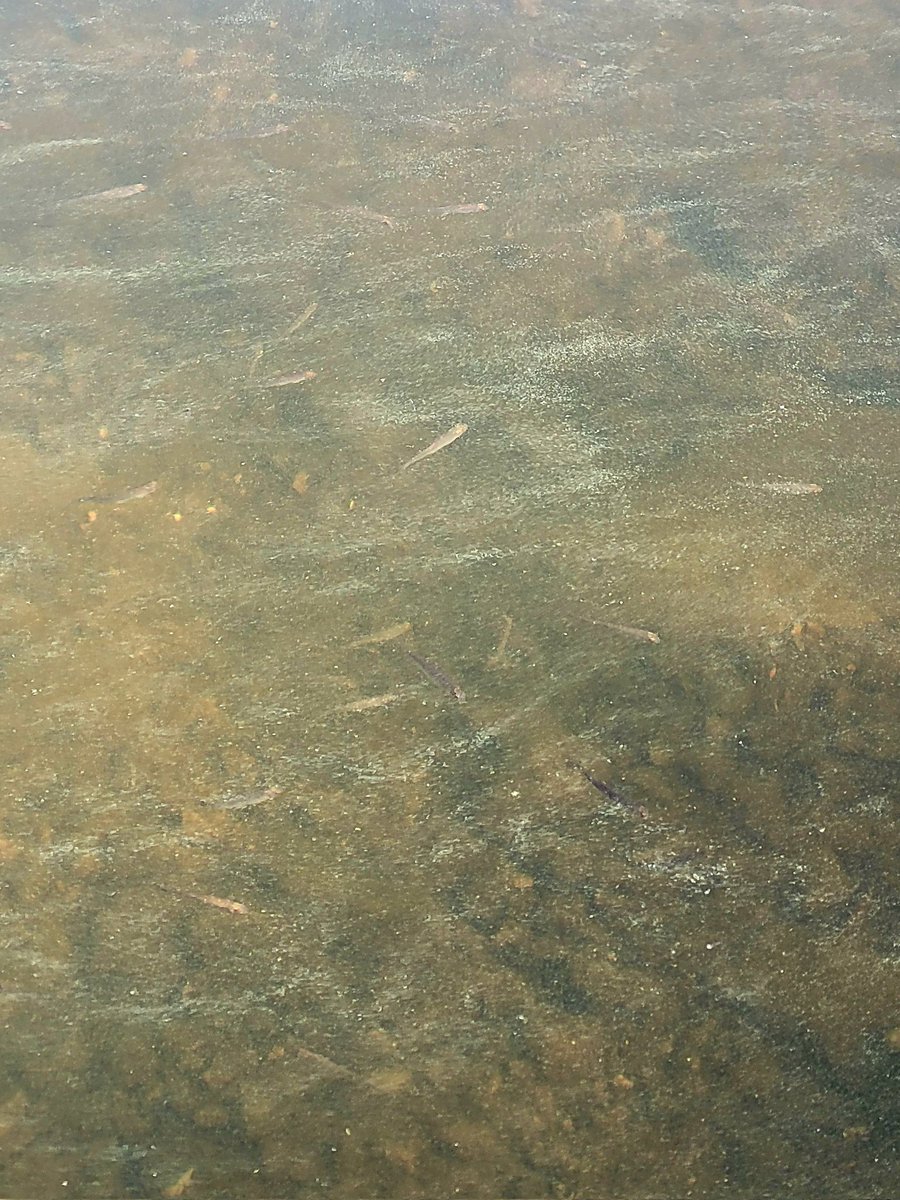 Bryan Kennedy tweet media