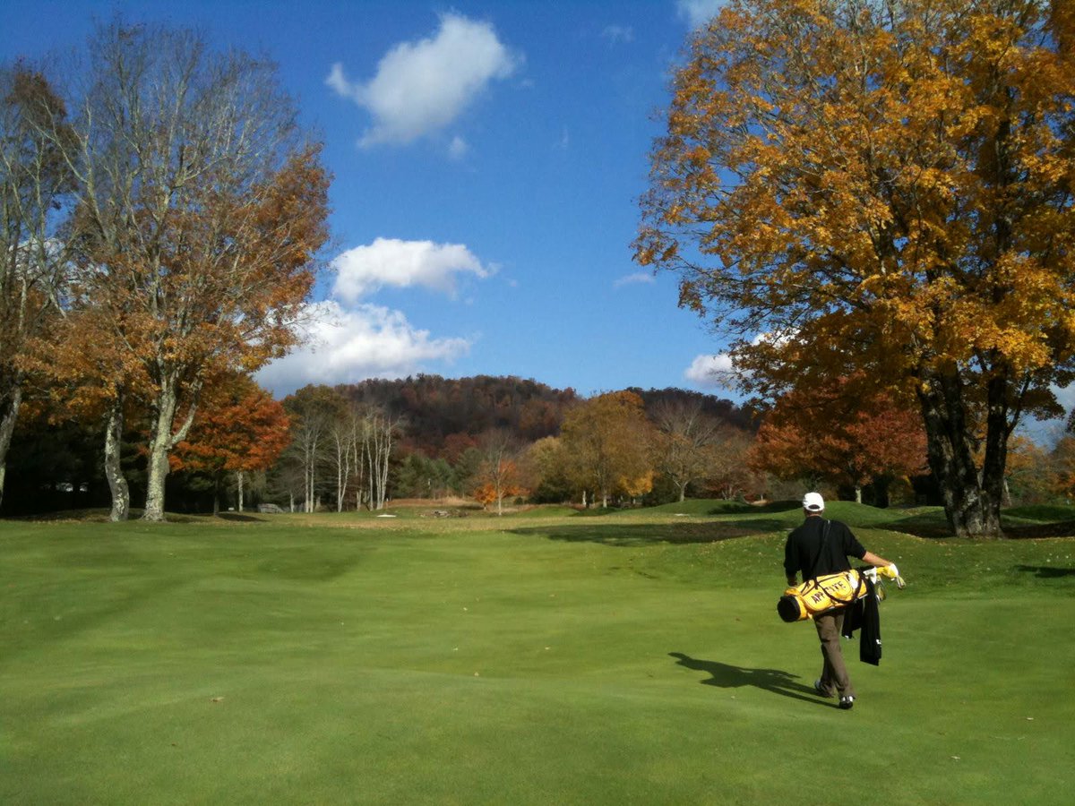 Mental Golf Coach tweet media