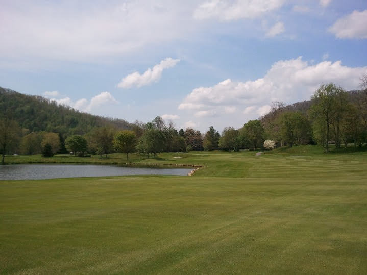 Mental Golf Coach tweet media