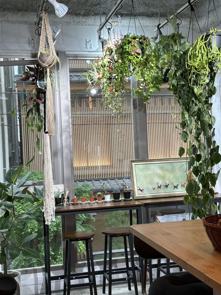 tks_moa8's tweet image. 浅草な1日。
久々かずきさんと会えました👍

#アイイロ #Aimee