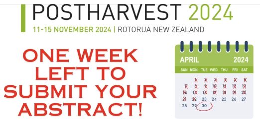 To be part of the programme, submit your abstracts here: tinyurl.com/38fyymk4