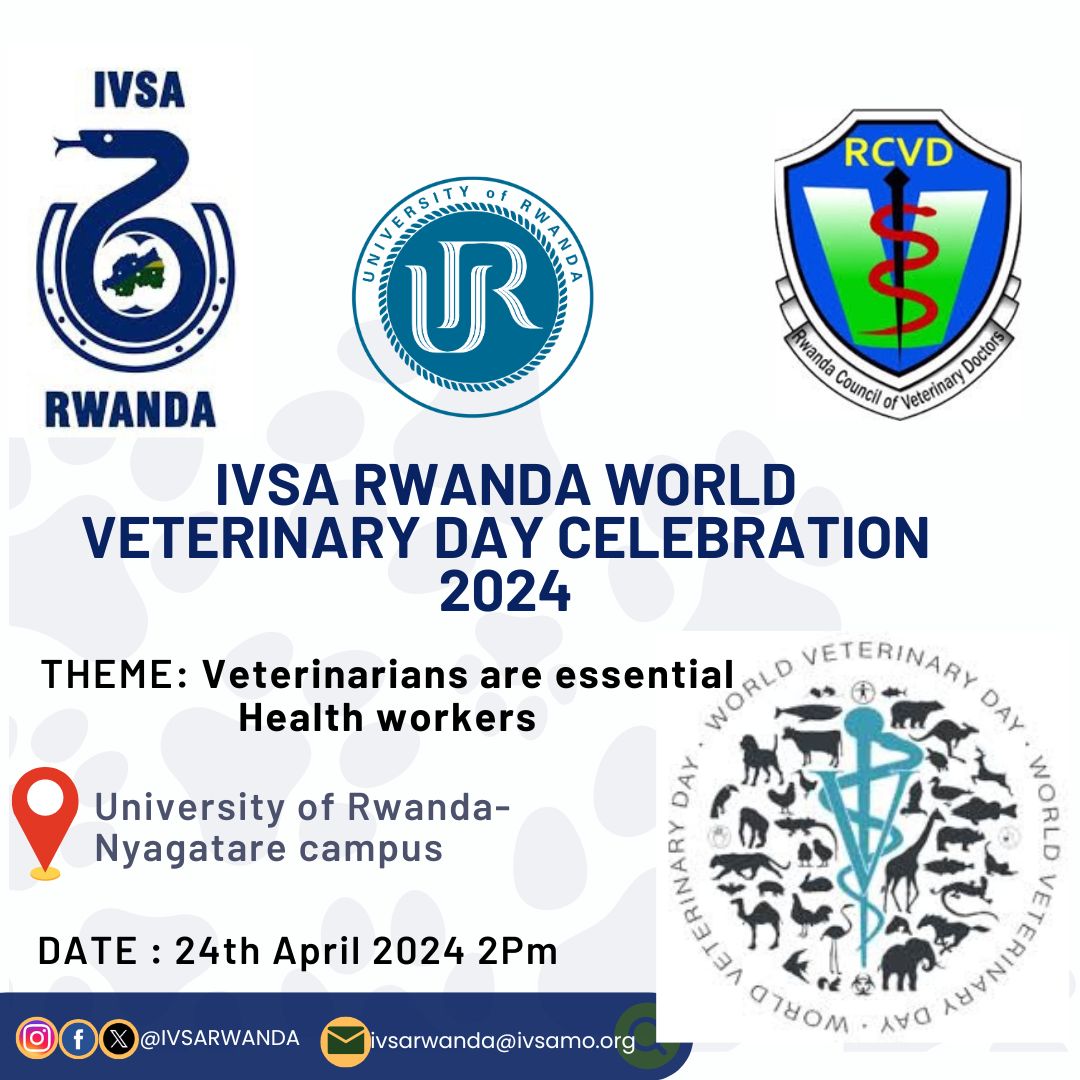 To celebrate the #WorldVeterinaryDay2024 , @RwandaVets1 in partnership with @IVSARwandablog has organized a public lecture to Veterinary medical students at the @Uni_Rwanda This year's theme 'Veterinarians are essential health workers' #WVD2024