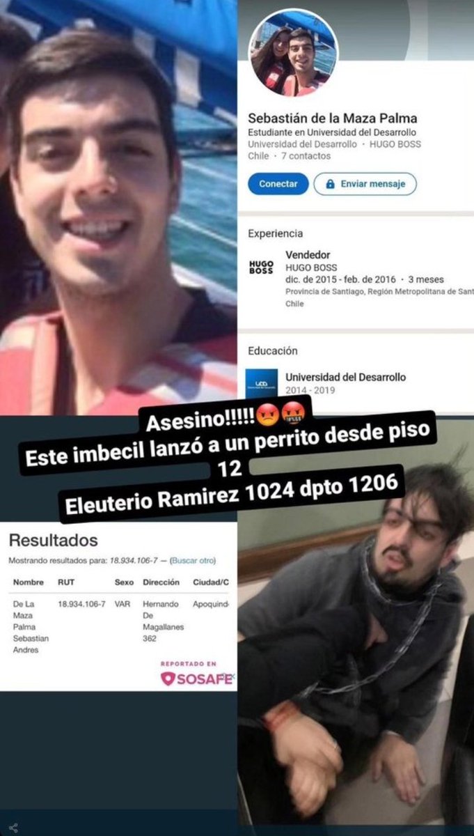 GonzaloTikToker's tweet photo. A FUNAR A ESTE BASTARDO HDP QUE LANZO A PERRITO DESDE UN PISO 12 EN SANTIAGO...
Sebastian de la Maza
Maldito
Cadem
#MuchoGustoMega #ContigoCHV #TuDia13 #BuenosDiasTvn https://t.co/kzTMXCc8Yo