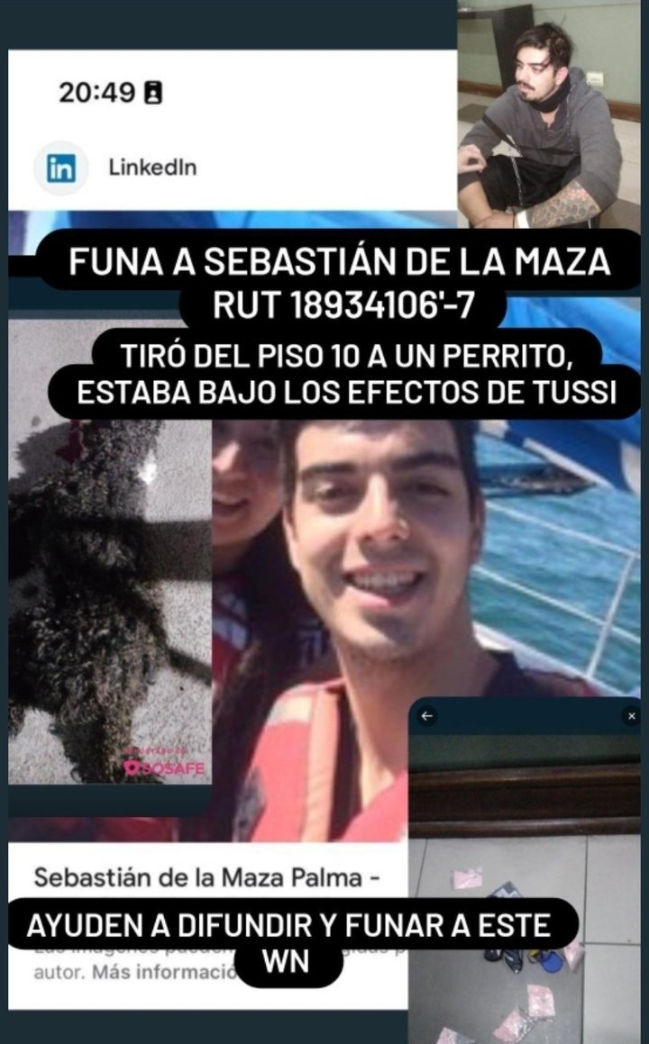 GonzaloTikToker's tweet photo. A FUNAR A ESTE BASTARDO HDP QUE LANZO A PERRITO DESDE UN PISO 12 EN SANTIAGO...
Sebastian de la Maza
Maldito
Cadem
#MuchoGustoMega #ContigoCHV #TuDia13 #BuenosDiasTvn https://t.co/kzTMXCc8Yo