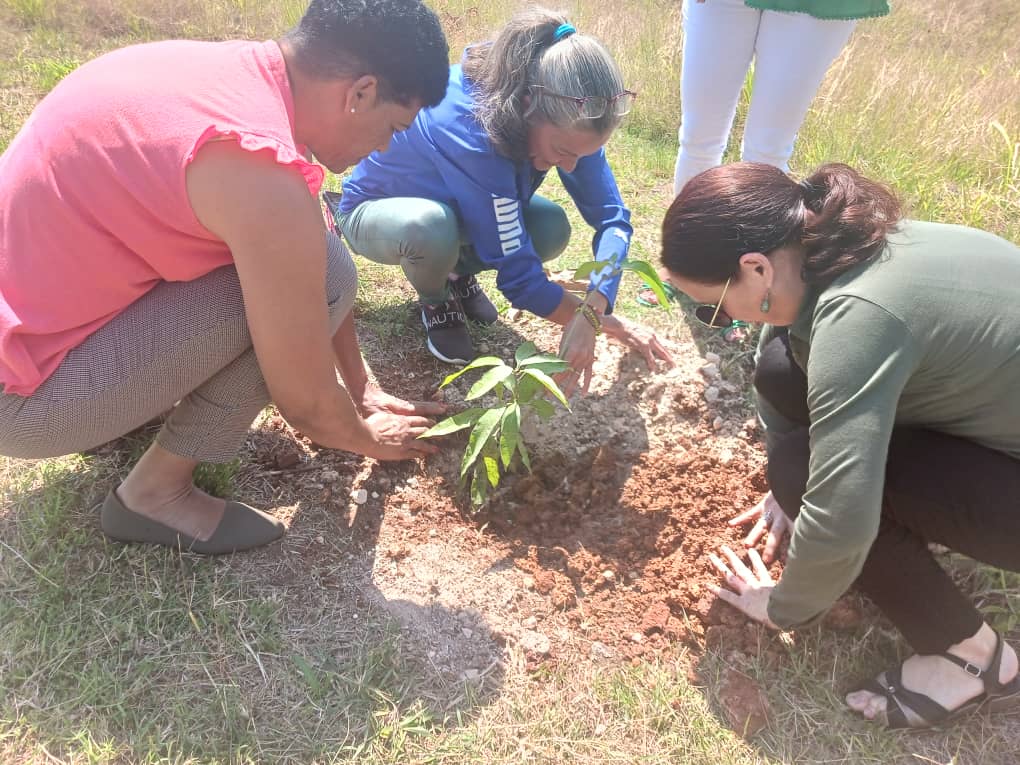 Si nos damos las manos...cuánto se puede hacer?!!! Así somos en nuestra Universidad de Artemisa , cada día haciendo un tín más, para ser un tín mejores, y siempre, siempre, sonreír 😉 #CubaEnPaz #ArtemisaJuntosSomosMás #JuntosSoñamosParaCrecer