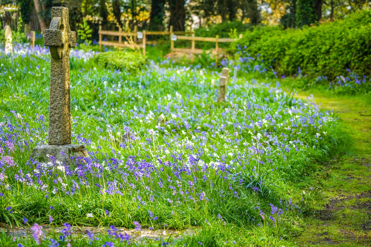 Talbot Village Trust tweet media