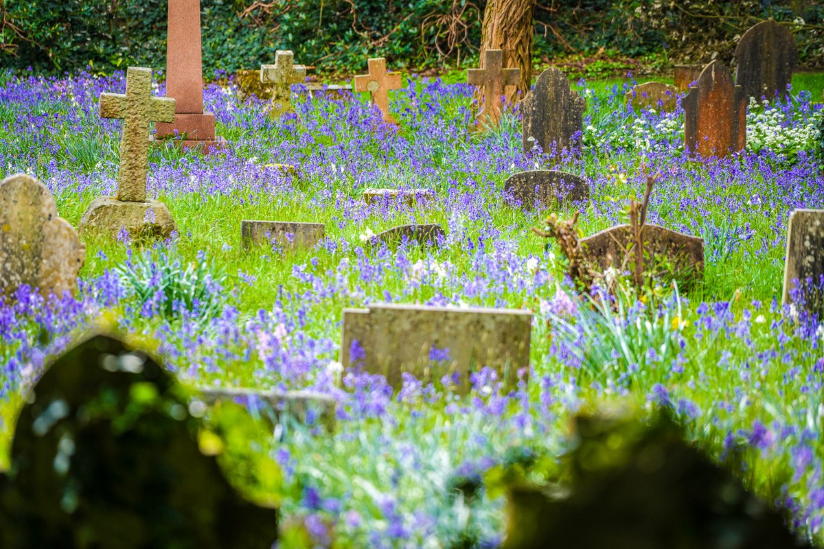 Talbot Village Trust tweet media