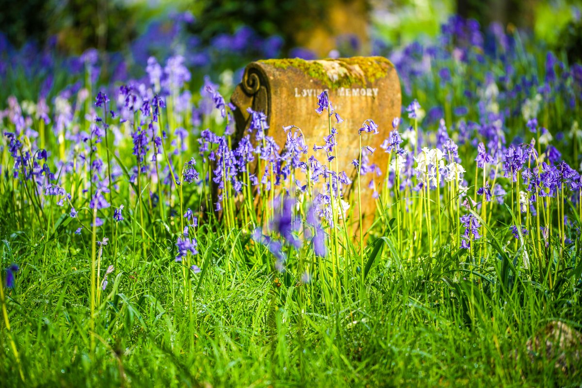 Talbot Village Trust tweet media