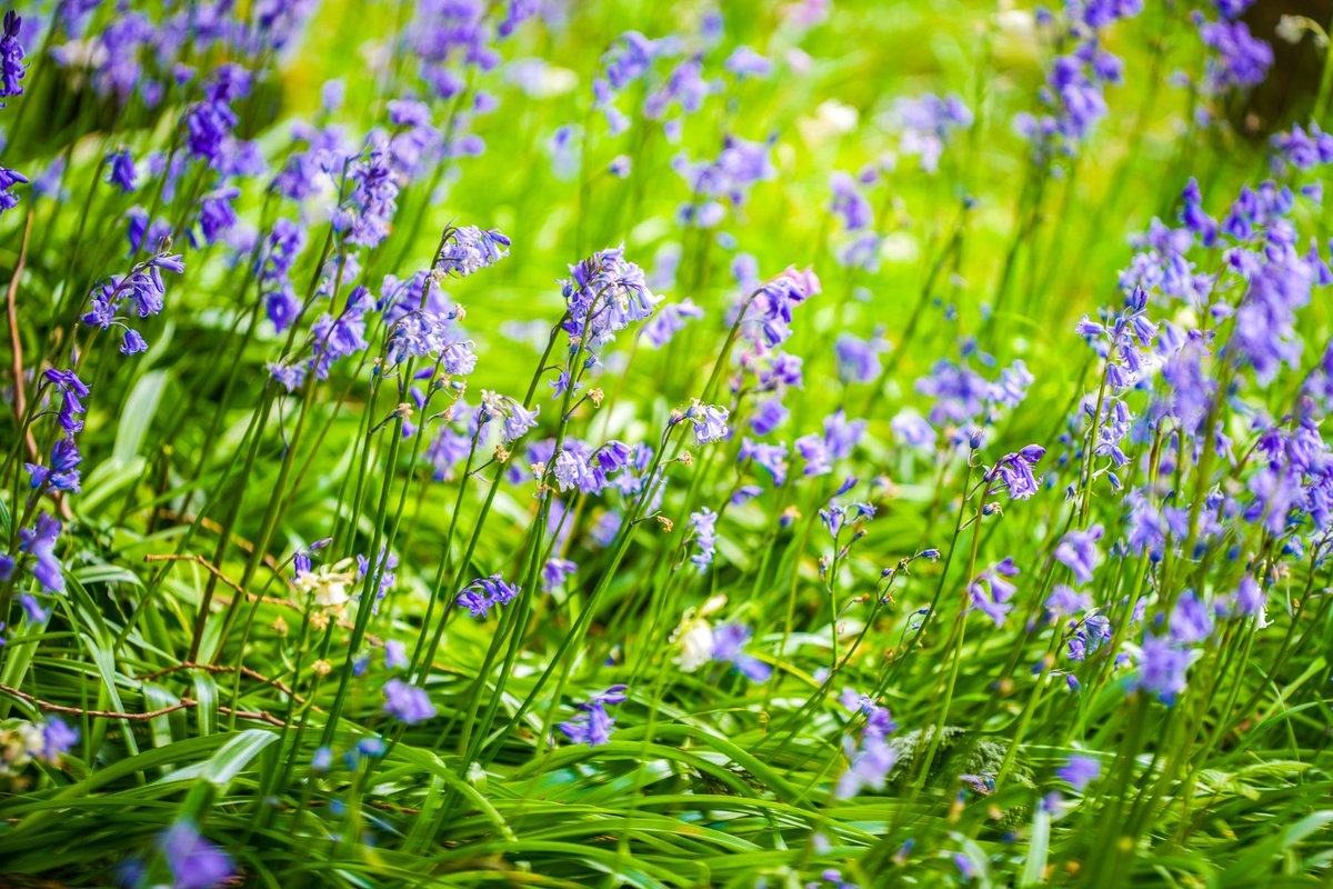 Talbot Village Trust tweet media