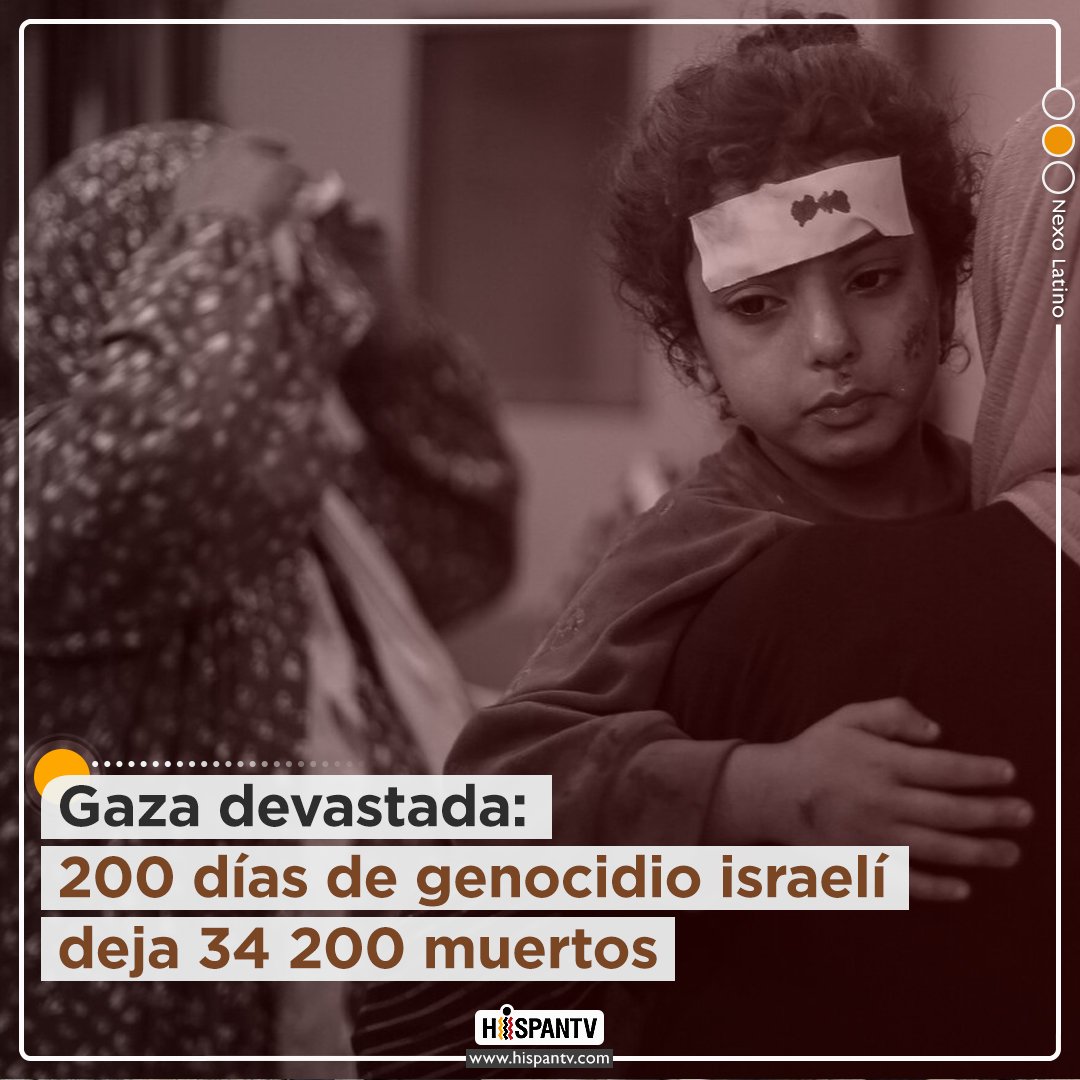 💔🇵🇸En los últimos 2⃣0⃣0⃣ días, #Israel desató una guerra contra #Gaza, donde las cifras de atrocidades israelíes muestran que esto no es guerra, sino un genocidio.

🔗Sepa más: tinyurl.com/mrzd7xtz
