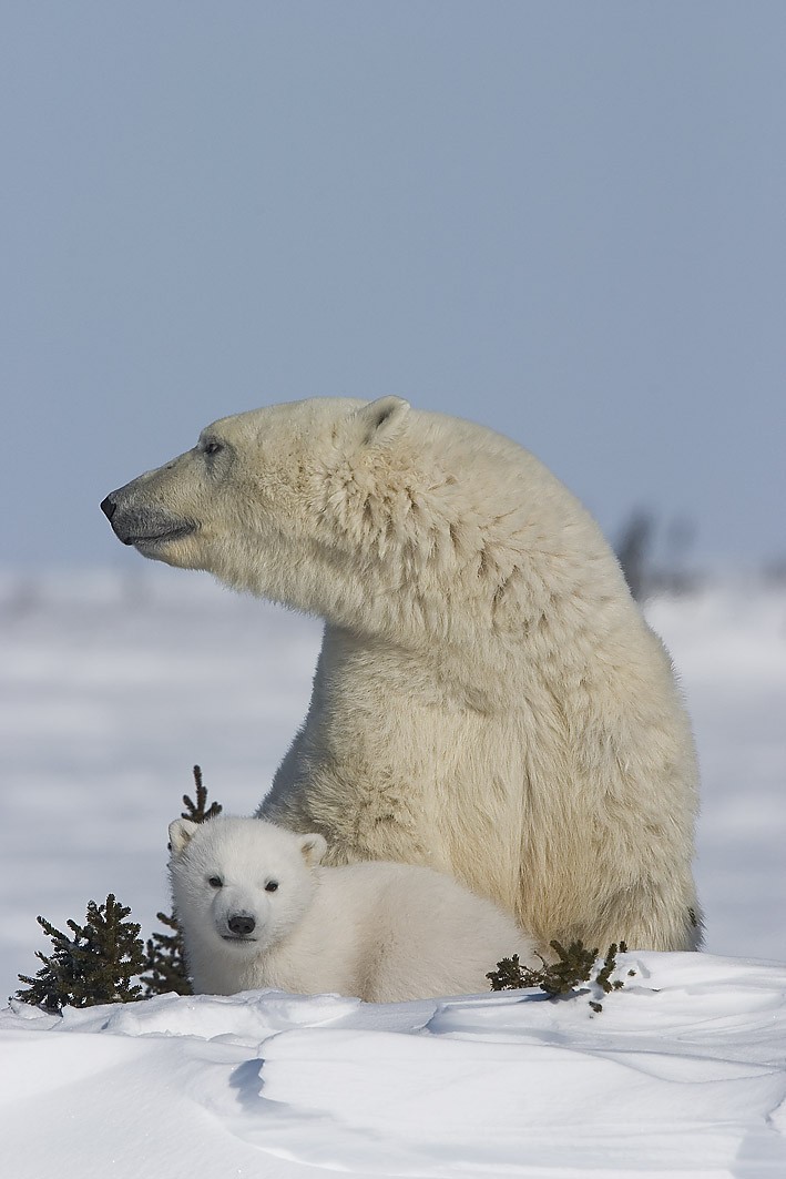 ParcsCanada tweet picture