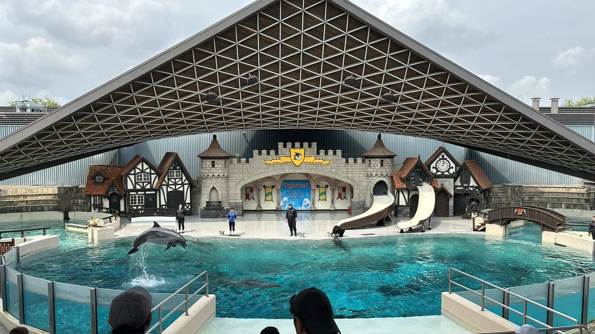 Marineland is transitioning to new ownership ahead of its 2024 season, the park has confirmed

toronto.ctvnews.ca/marineland-tra…