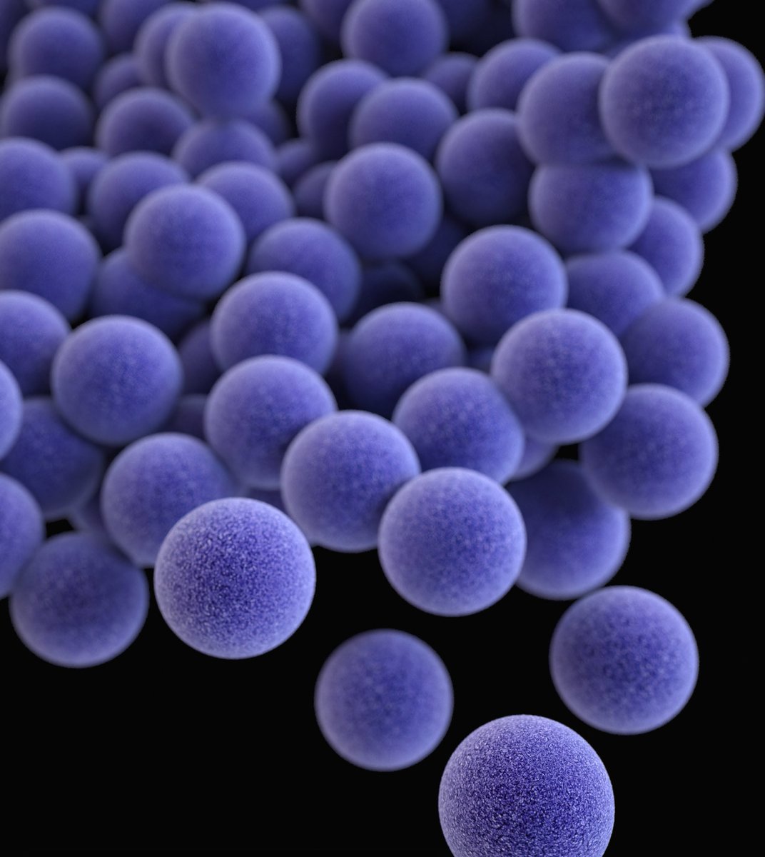NEJMClinician's tweet photo. Drug Watch: Ceftobiprole joins the beta-lactam squad against MRSA infections https://t.co/6DBGsmHgcX
@SakoulasGeorge #DrugWatch #IDTwitter https://t.co/ckjltfivMK