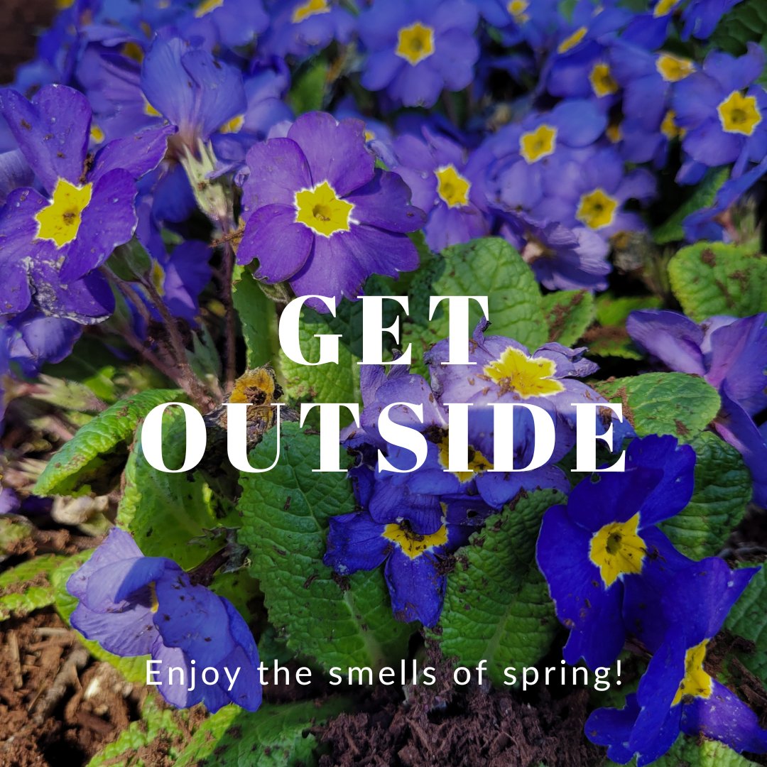 GreenSparkGroup's tweet photo. It's Earth Month and we're excited!  Our team is out appreciating nature and all it has to offer!  It's one reason we work to reduce the impact of entertainment!  #GetOutside #enjoy #nature #worthit https://t.co/8yx657vdyi