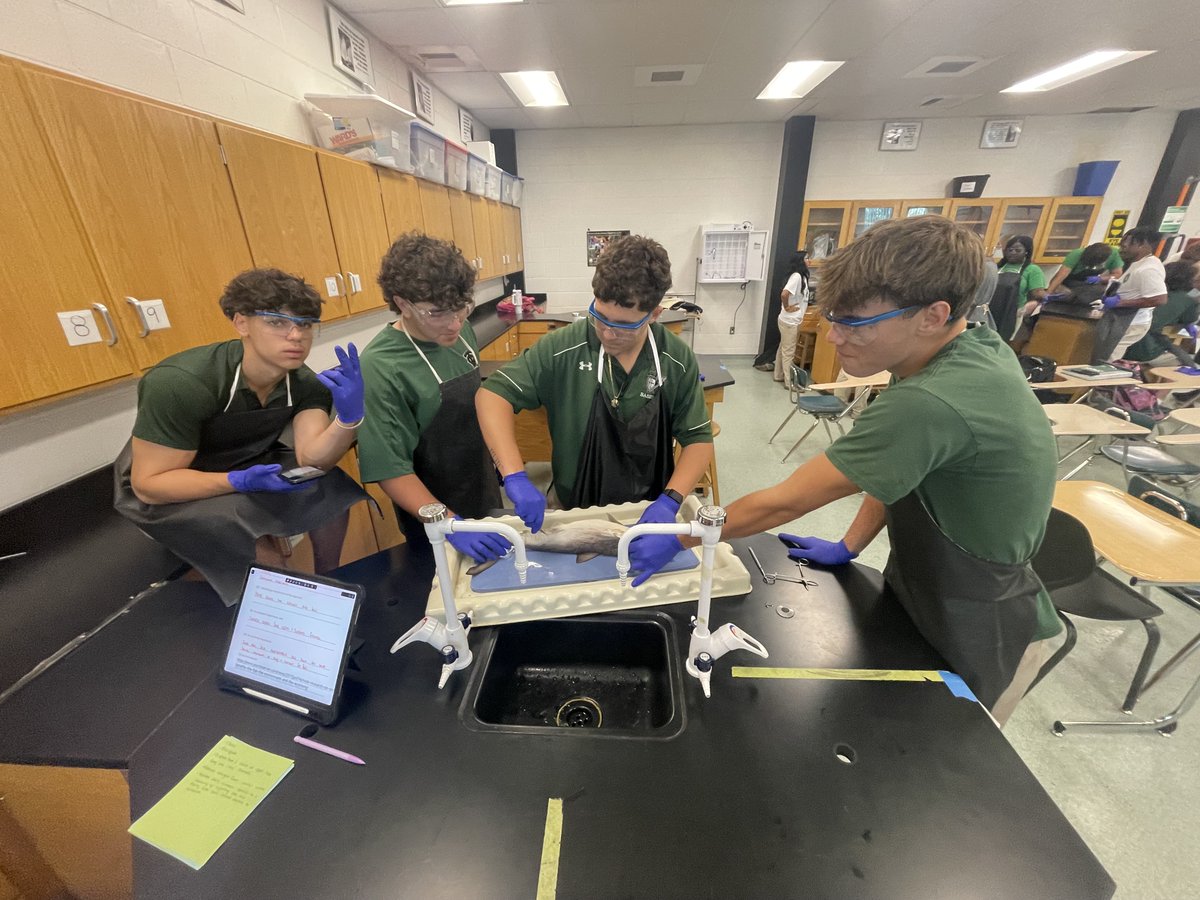 Ms. Garcia's Marine Science class is exploring the ins and outs of fish anatomy through hands-on shark dissections! 🌊🦈