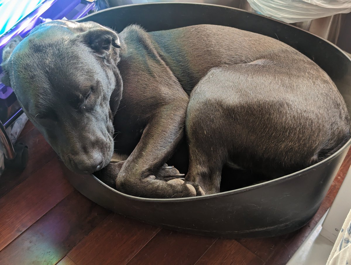 used2bgood tweet media