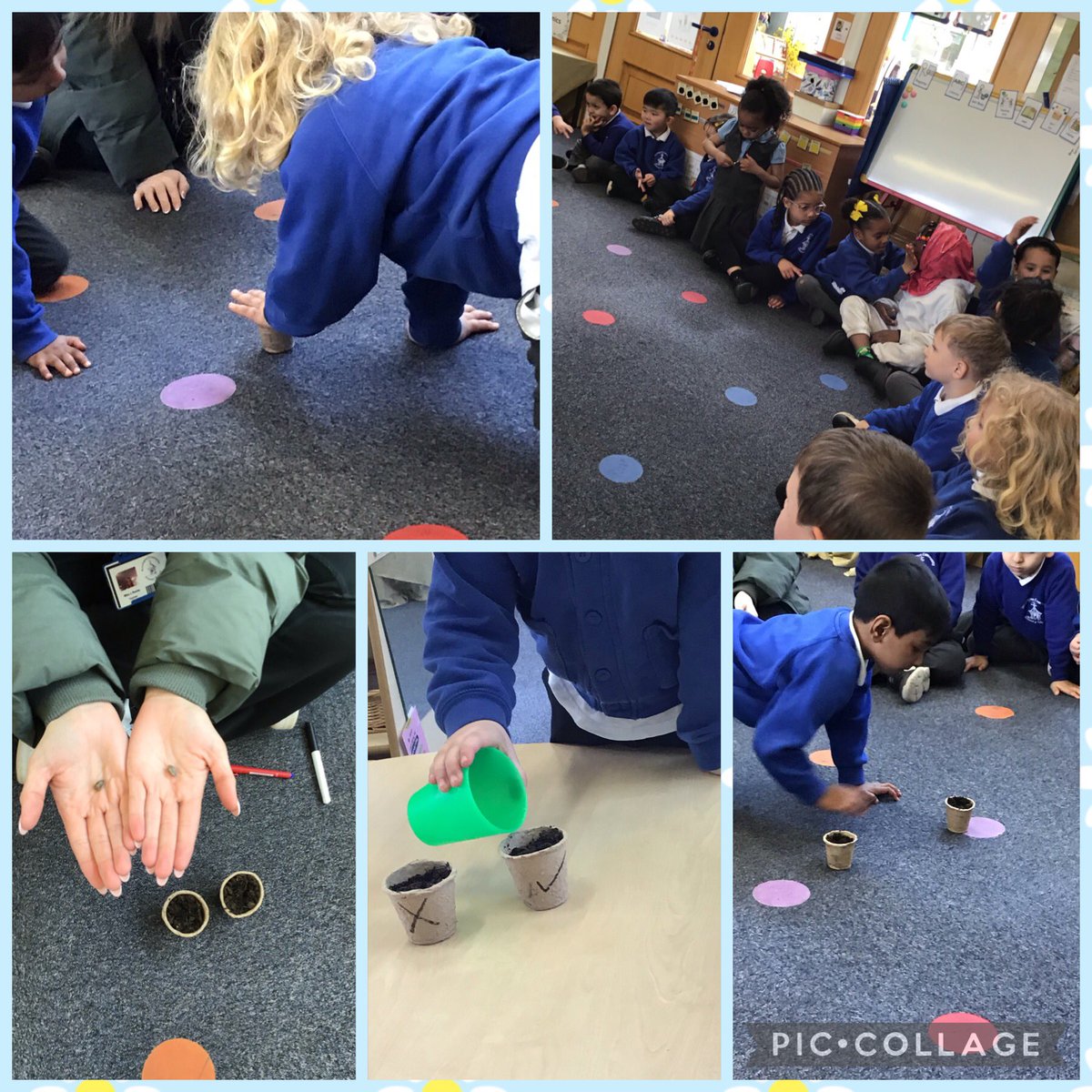 KensingPrimary's tweet photo. We wonder what will happen to the seed that we water and the seed that we donโt? We canโt wait to find out what happens ๐ฅผ๐งโ๐ฌ๐ป๐ #rd #kensingtonscience https://t.co/UzeIib7Jrd