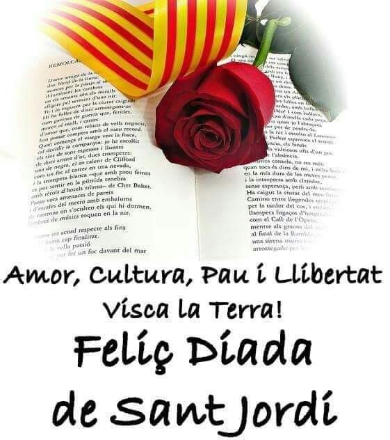 JMryuuk77's tweet photo. @AnnaRR82 Bona Diada https://t.co/ns65F6lf5B