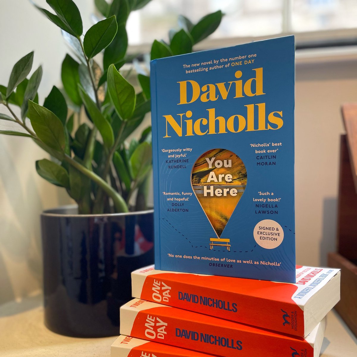 The long awaited new novel from @DavidNWriter is here! 🎉 From the author of the bestselling One Day, You Are Here find two lost souls thrown together on an epic coast to coast walk.