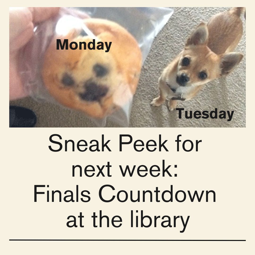 AQ_Library tweet picture