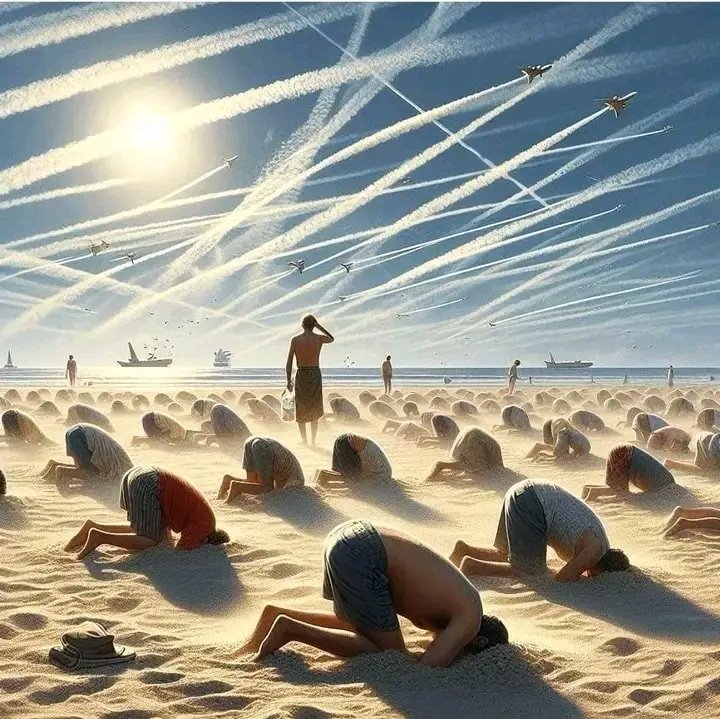 Anonymous collective (@anonymousc91347) on Twitter photo 