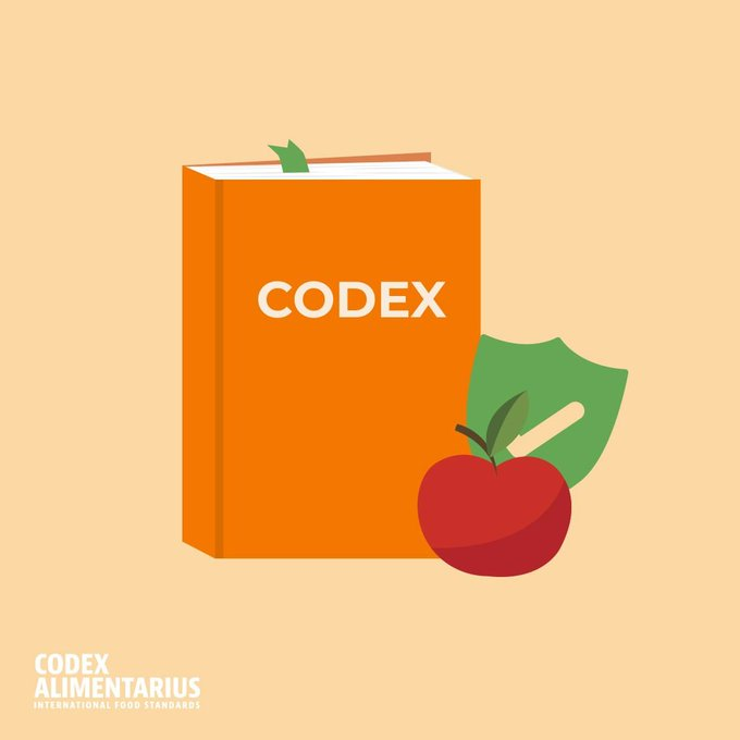 📝 | #Codex also speaks with Ñ❗️ 👉On #SpanishLanguageDay discover a world full of standards, also available in Spanish 😁 ➕ℹ️➡️ bit.ly/NormasCodex ¡Feliz #DíaDelIdiomaEspañol!
