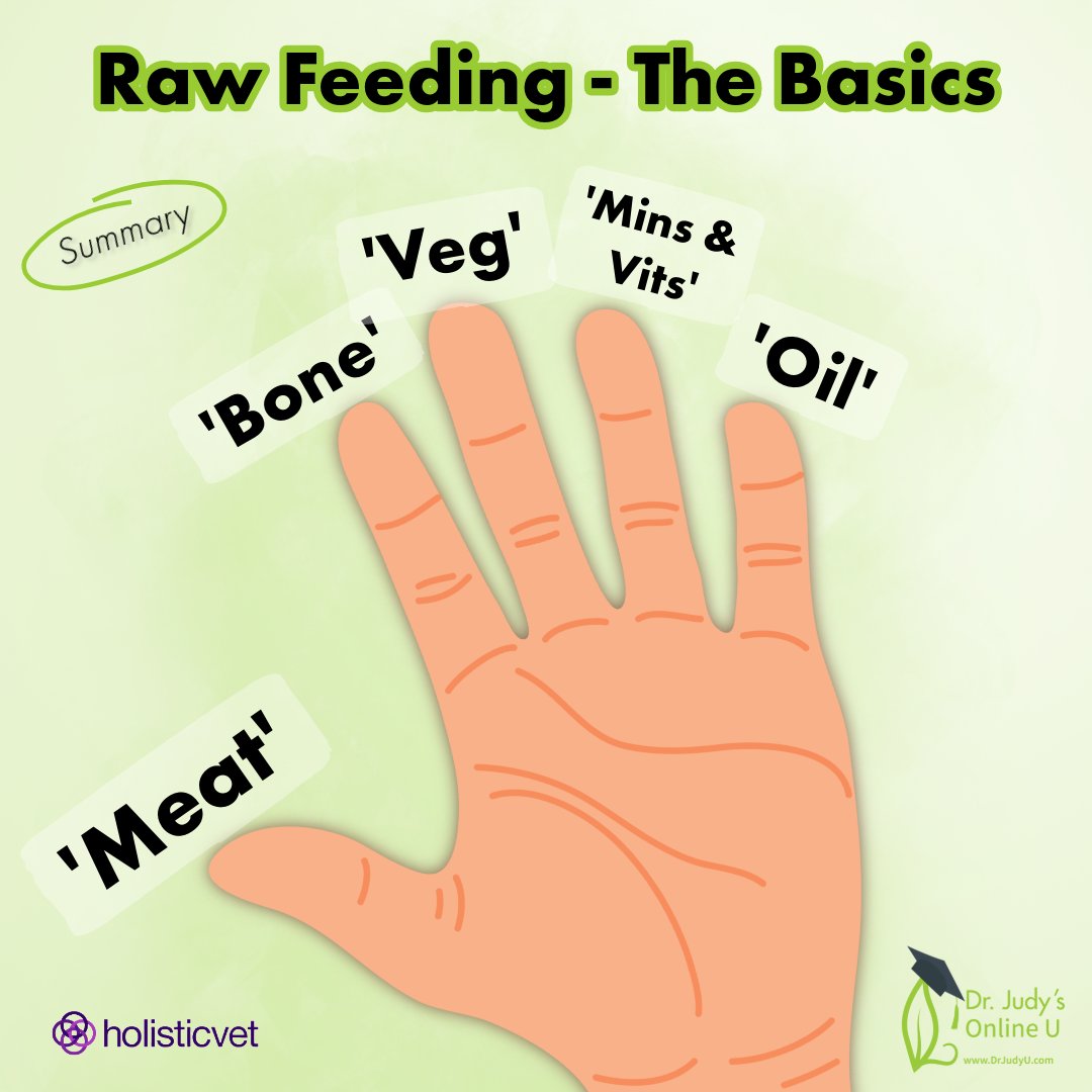 Dr. Nick Thompson provides a wealth of information for pet parents interested in feeding raw bones raw food in his online courses, "Bones &amp; How to Feed Them" and "Raw Feeding: The Basics" both available on l8r.it/jBfV 

Start here: l8r.it/Df8P