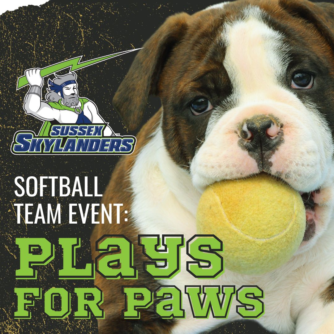 The Skylanders Softball team will be hosting an adoption game, Plays for Paws, with Father John's Animal House on 5/2 at 3:30 pm. Adoptable dogs will be out for the first pitch; or drop off pet supply donations at the Student Success Center. Visit bit.ly/4aYqGJv
