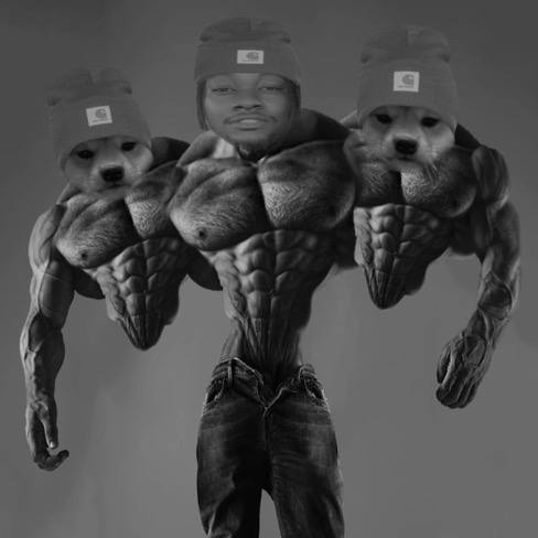 Dogwifbeanie tweet media