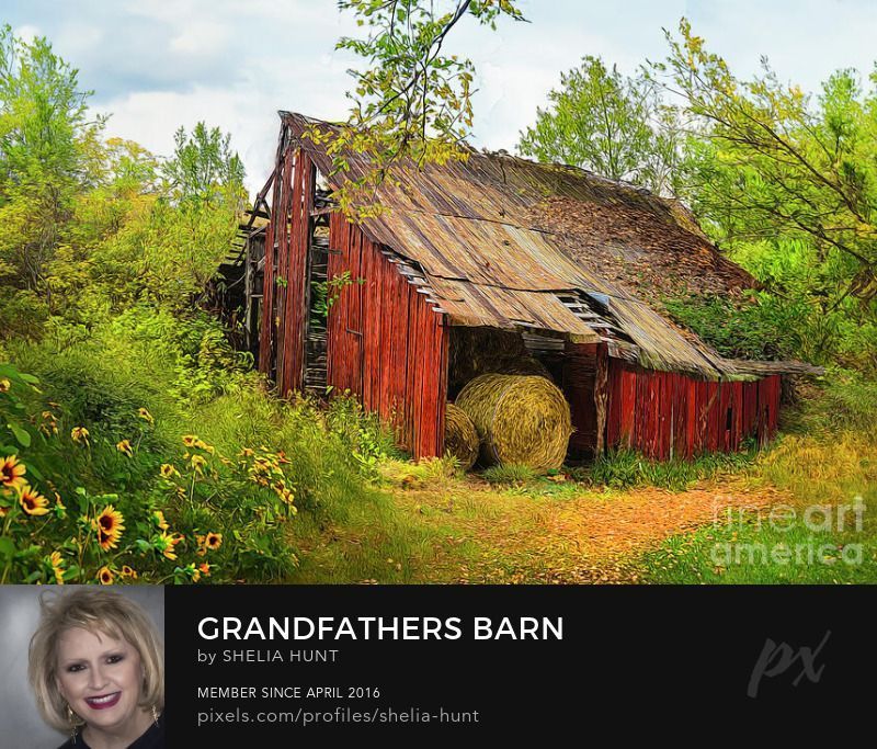 “𝐆𝐑𝐀𝐍𝐃𝐅𝐀𝐓𝐇𝐄𝐑’𝐒 𝐁𝐀𝐑𝐍 𝐈𝐍 𝐓𝐇𝐄 𝐀𝐏𝐏𝐀𝐋𝐀𝐂𝐇𝐈𝐀𝐍𝐒” ❤️ 
Get this Award-winning Artwork at buff.ly/3sbD8Vy
#SheliaHuntPhotography #BestOfTheUSA #BestOfThe_USA #BestOfTheVolunteerState #barn #redbarn #americana