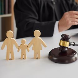 Delve into the unique aspects of the Family Court system in Lancaster, NY, and learn how it differs from the Supreme Court, ensuring your family's best interests are served. 

#FamilyLaw #LegalSystem #LancasterNY #CourtSystem

colesorrentino.com/the-family-cou…