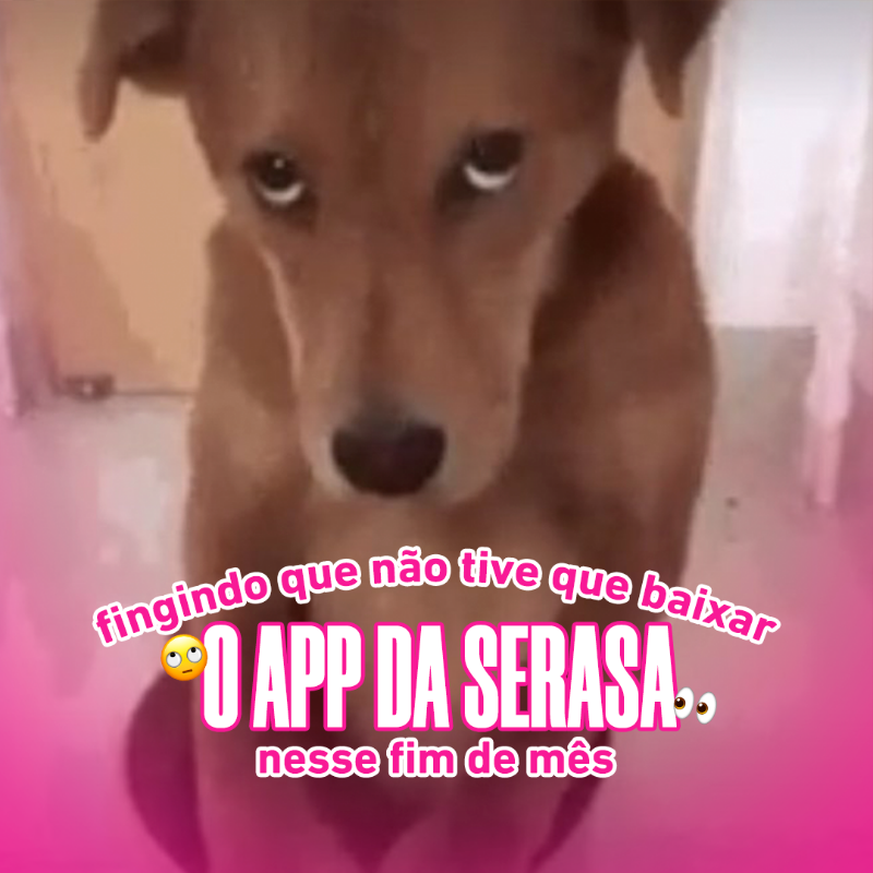 tonaserasa's tweet photo. eu assim 👇

Baixe o APP e negocie suas dívidas