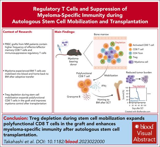 Treg depletion during SCM expands polyfunctional effector T cells in mobilized grafts and enhances antimyeloma immunity after ASCT. ow.ly/syjV50RjakL #transplantation #immunobiologyandimmunotherapy