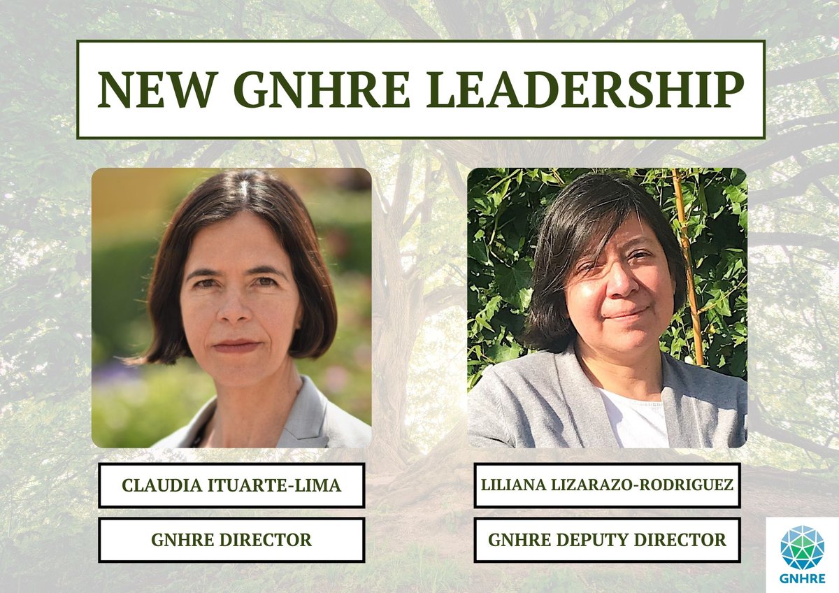 Announcing: new GNHRE leadership! The GNHRE is excited to welcome @CItuarteLima of @RWallenbergInst as new GNHRE Director and Liliana Lizarazo-Rodriguez of @VUBrussel as GNHRE Deputy Director. Read more here: gnhre.org/?p=17994
