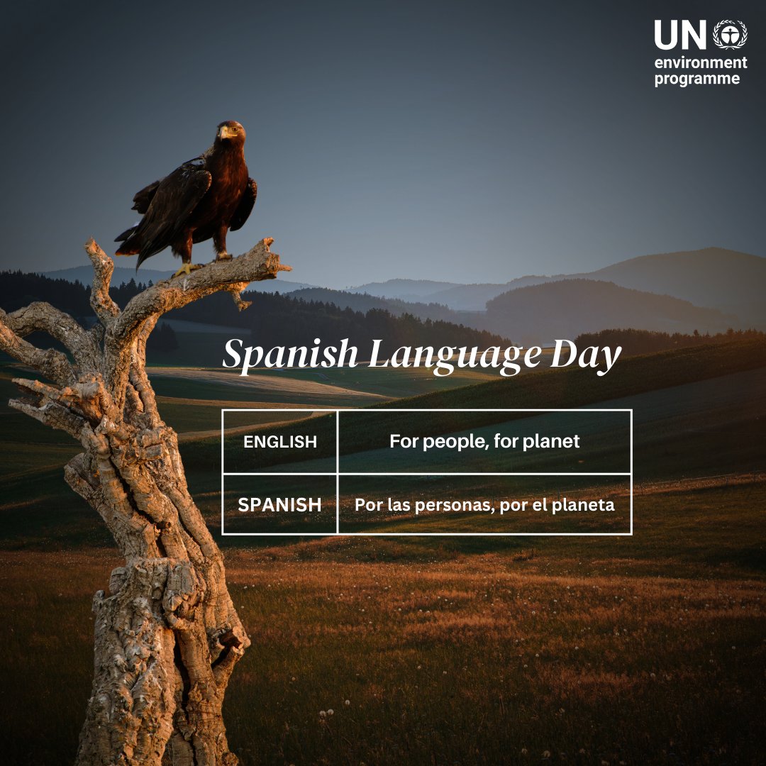 Nelson Mandela said, speaking in someone's language touches their heart. UNEP works to deliver environmental messages in languages that reach everyone. As we mark #SpanishDay, see updates of our work from our accounts in Spanish & other languages here: ow.ly/PVy850RlVhn