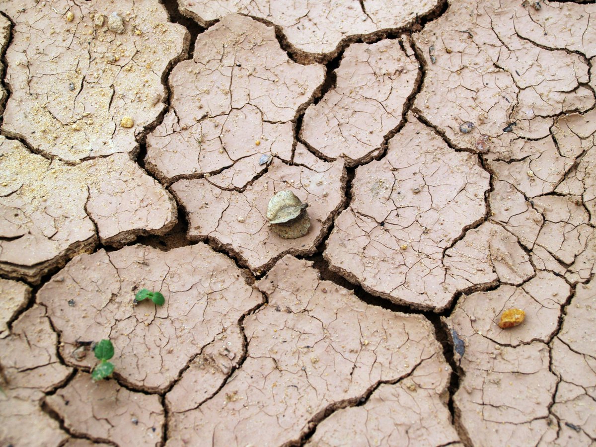 Did you know that El Niño has led to searing heat that led to massive crop failure causing water sources to dry up? It's an urgent crisis that is demanding more attention. Read: loom.ly/CWtrdN4