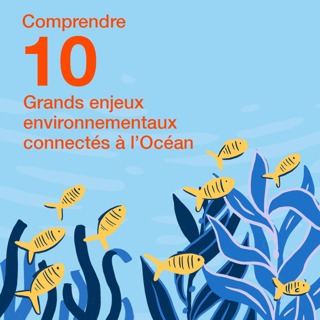 Fondation Tara Océan tweet media