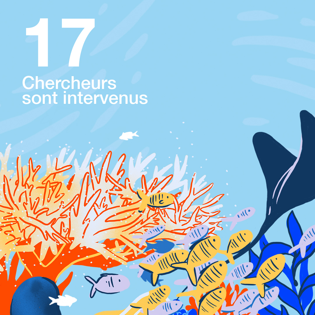 Fondation Tara Océan tweet media