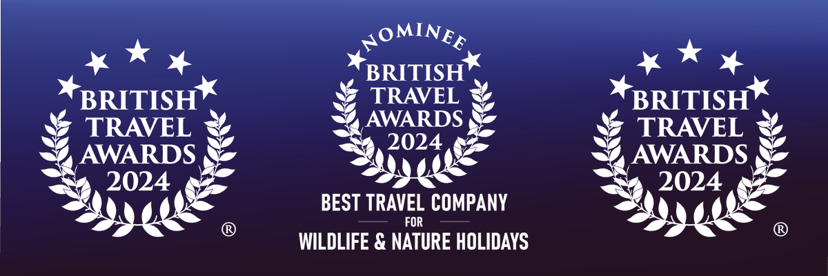 Congratulations @wildlifeww your #BritishTravelAwards #BTA2024 nomination has been approved. #SafariHolidays #TravelCompanies apply at britishtravelawards.com for listing on this year’s consumer #TravelAwards voting form.