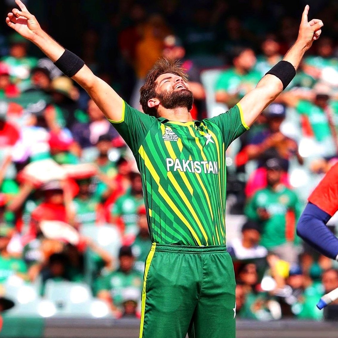 Batters dismissed by Shaheen Afridi in First Over of T20Is:

• Muhammad Naim
• Jonny Bairstow
• Janeman Malan
• Rohit Sharma
• Aaron Finch
• Quinton De Kock
• Finn Allen
• Alex Hales
• Tom Latham
• Will Young
• Devon Conway
• Finn Allen
• Tin Robinson
• Tim Seifert