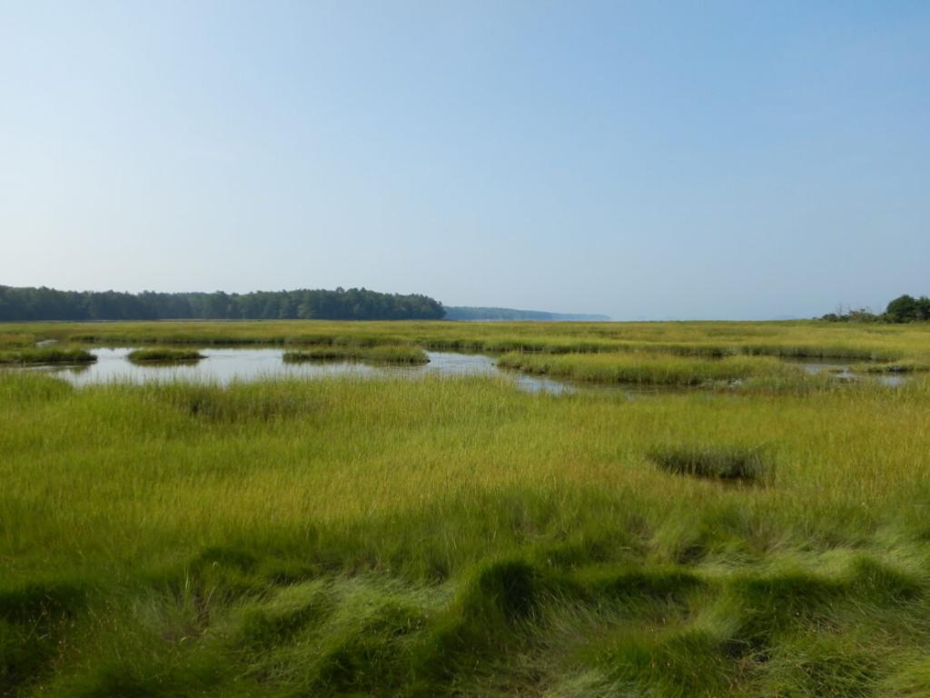 #DYK estuaries help improve water quality and protect against flooding? EPA’s National Estuary Program is working hard to ensure these critical ecosystems where freshwater and saltwater meet are able to thrive! epa.gov/nep/national-e…