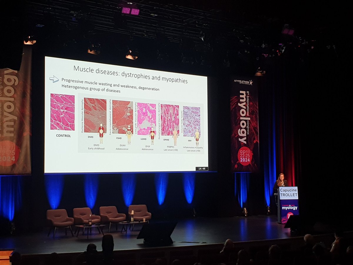 Institut de Myologie (@inst_myologie) on Twitter photo #Myology2024 Great session this morning on Muscle fibrosis at <a href="/Myology2024/">International Congress of Myology</a> chaired by <a href="/GilButlerBrowne/">Gillian Butler-Browne</a> with a nice talk by <a href="/CapucineTrollet/">Capucine Trollet</a>: "Cellular actors and ECM components of human fibrosis in myopathies".
#research #muscle #fibrosis
<a href="/researchmyology/">Centre of Research in Myology (UMRS 974)</a> <a href="/Telethon_France/">AFM-Téléthon</a> #Myology2024 Great session this morning on Muscle fibrosis at <a href="/Myology2024/">International Congress of Myology</a> chaired by <a href="/GilButlerBrowne/">Gillian Butler-Browne</a> with a nice talk by <a href="/CapucineTrollet/">Capucine Trollet</a>: "Cellular actors and ECM components of human fibrosis in myopathies".
#research #muscle #fibrosis
<a href="/researchmyology/">Centre of Research in Myology (UMRS 974)</a> <a href="/Telethon_France/">AFM-Téléthon</a>