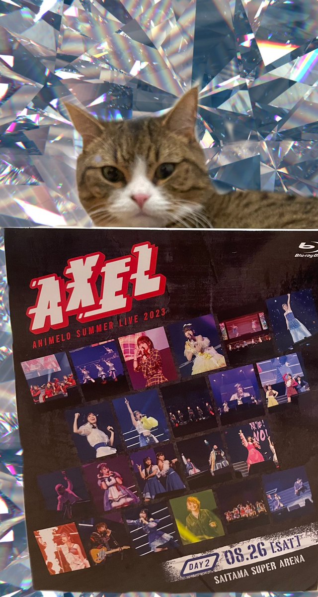 koyamamomoyo's tweet image. #アニサマ のBlu-rayを
ゲットしました✌🏻✨

🔹DAY2🔹
スタァライト九九組として
出演しております☆彡

あめくんも興味津々…🐾

#anisama