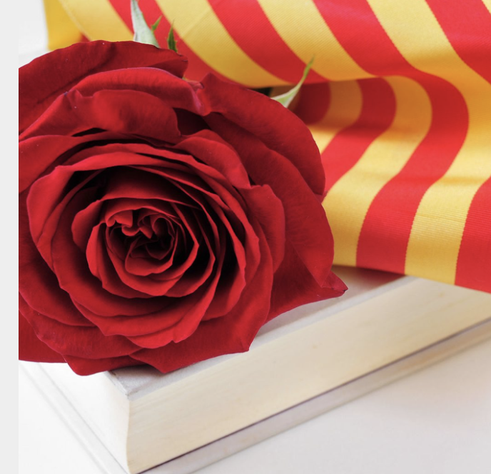ECanigo's tweet photo. A continuació, us compartim totes les creacions literàries que han realitzat els nens i les nenes de Primària de l’escola. Us desitgem una bona #diada de Sant Jordi! 🔗https://t.co/9ybvMOvDIo 🌹📚  #SanJust #DiadaSantJordi2024 https://t.co/5hshDlFC90