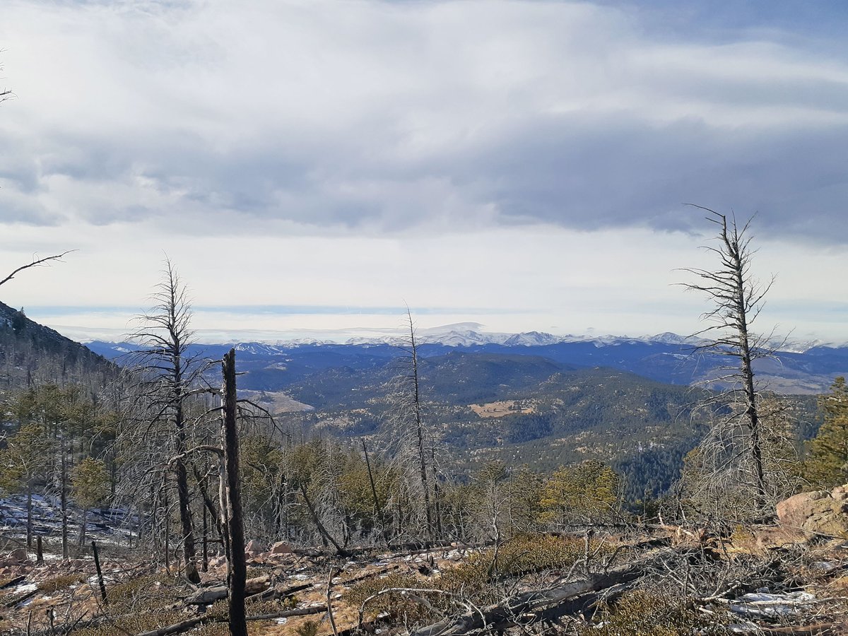 Significant increase in the danger of wildfires through the 21st century: By 2100 the danger will be high even in regions where it is very low today. #SLF expects an elevated #wildfire danger in the #Alpine #Foreland from 2040 onwards. slf.ch/en/news/wildfi… 📸 Manuela Brunner