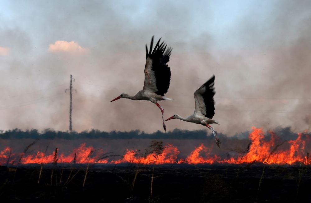 Don't forget that russia commits ecocide in Ukraine

#EarthDay