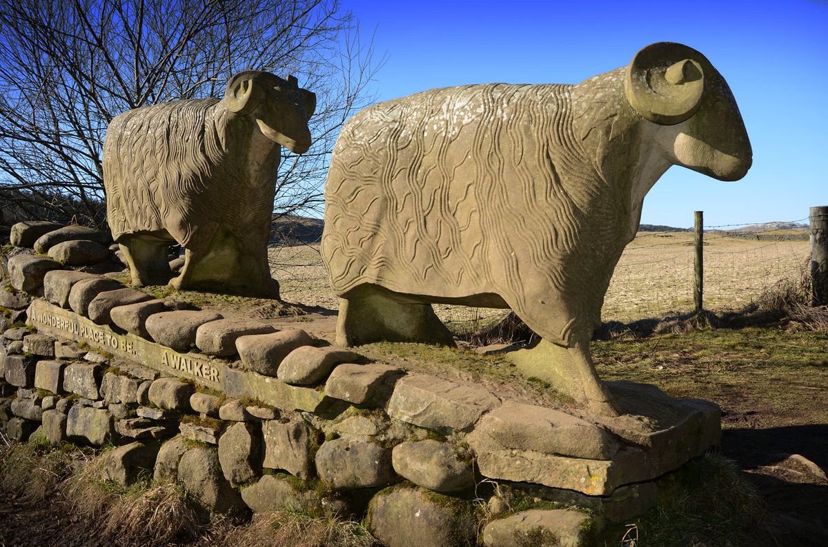 Two handsome sheep by local Sculptor Keith Alexander 2002 They stand on a dry-stone wall overlooking Low Force near Bowlees in Teesdale carved below are the words ‘ A wonderful place to be a….walker Back later