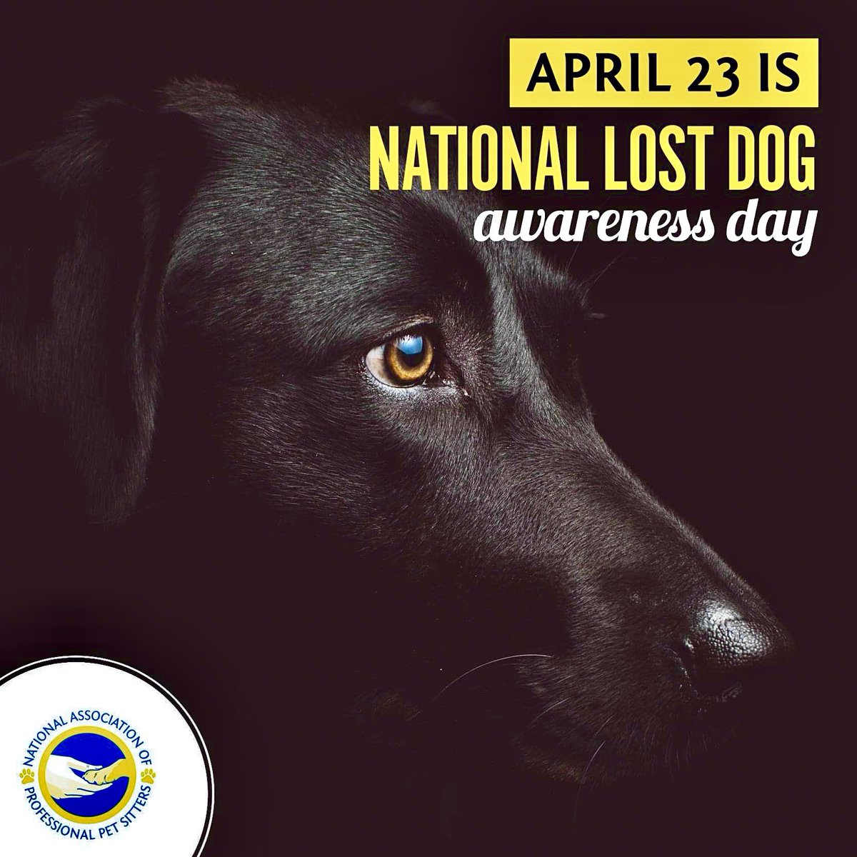 Nat’l Association of Pro Pet Sitters (@thenapps) on Twitter photo 