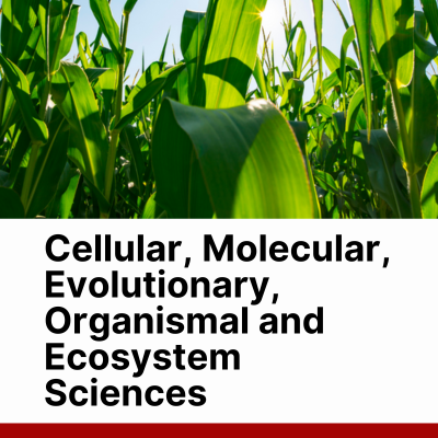 Introducing the two new Fellows elected to the Learned Society of Wales in 2024 who work in cellular, molecular, evolutionary, organismal and ecosystem sciences. @brianflloyd @ibers_aber @unibirmingham learnedsociety.wales/introducing-ou…