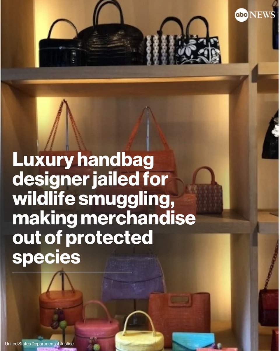 A luxury handbag designer has been jailed after pleading guilty to smuggling purses made of the skins of protected reptiles, according to the U.S. Department of Justice. trib.al/6LOCutk